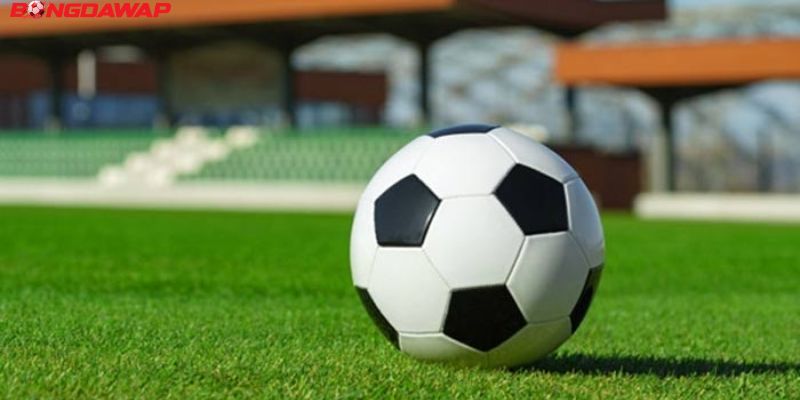 Những lợi ích khi đến với Bongdawap.cc